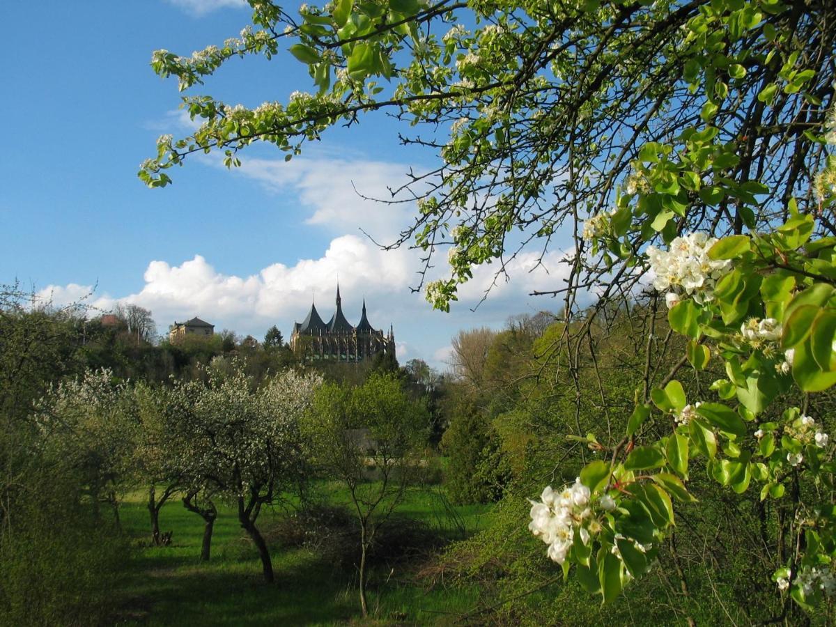 Penzion Art Kutna Hora Bed and Breakfast Εξωτερικό φωτογραφία